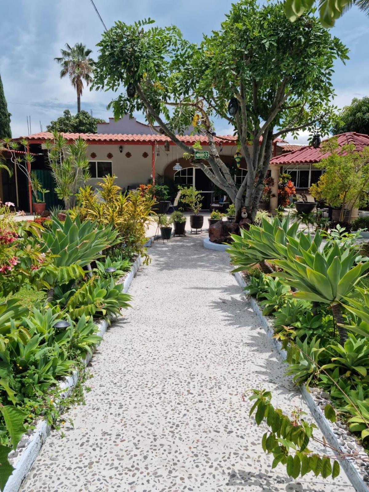 Casa De La Abuela Ajijic Exterior foto